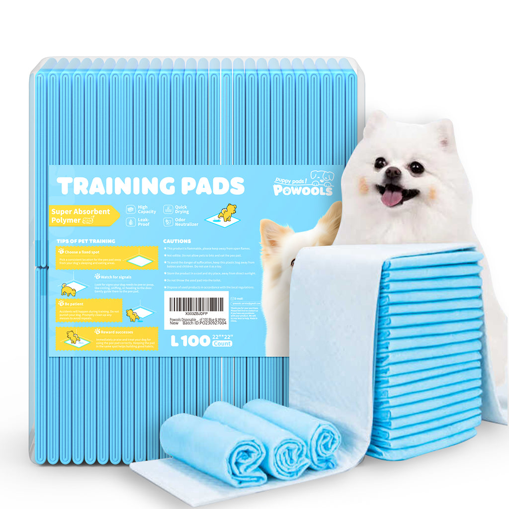 75-Pack XX-Large Puppy Pads - 38" x 28" Pee Pads for Dogs Potty Training with Leak-Proof Quick-Dry Design, 6-Layer Wee Wee Pads for Dogs