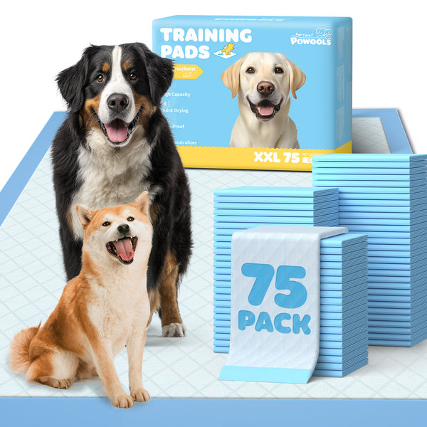 75-Pack XX-Large Puppy Pads - 38" x 28" Pee Pads for Dogs Potty Training with Leak-Proof Quick-Dry Design, 6-Layer Wee Wee Pads for Dogs