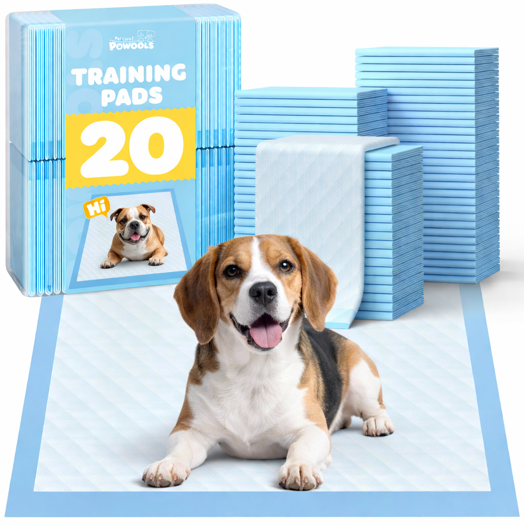 75-Pack XX-Large Puppy Pads - 38" x 28" Pee Pads for Dogs Potty Training with Leak-Proof Quick-Dry Design, 6-Layer Wee Wee Pads for Dogs