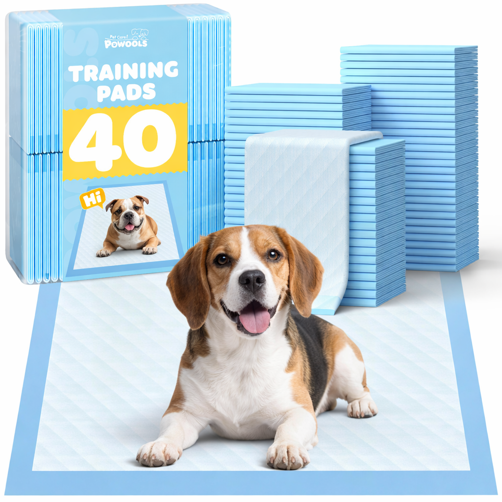 75-Pack XX-Large Puppy Pads - 38" x 28" Pee Pads for Dogs Potty Training with Leak-Proof Quick-Dry Design, 6-Layer Wee Wee Pads for Dogs