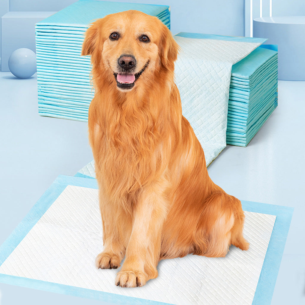75-Pack XX-Large Puppy Pads - 38" x 28" Pee Pads for Dogs Potty Training with Leak-Proof Quick-Dry Design, 6-Layer Wee Wee Pads for Dogs