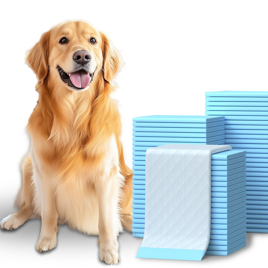 75-Pack XX-Large Puppy Pads - 38" x 28" Pee Pads for Dogs Potty Training with Leak-Proof Quick-Dry Design, 6-Layer Wee Wee Pads for Dogs