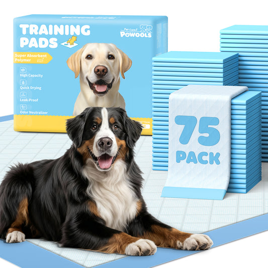 75-Pack XX-Large Puppy Pads - 38" x 28" Pee Pads for Dogs Potty Training with Leak-Proof Quick-Dry Design, 6-Layer Wee Wee Pads for Dogs