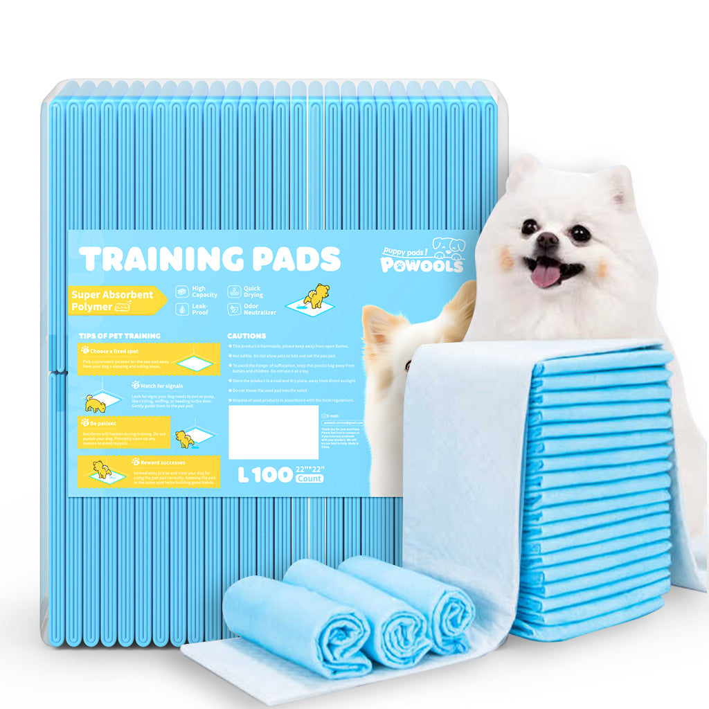 75-Pack XX-Large Puppy Pads - 38" x 28" Pee Pads for Dogs Potty Training with Leak-Proof Quick-Dry Design, 6-Layer Wee Wee Pads for Dogs
