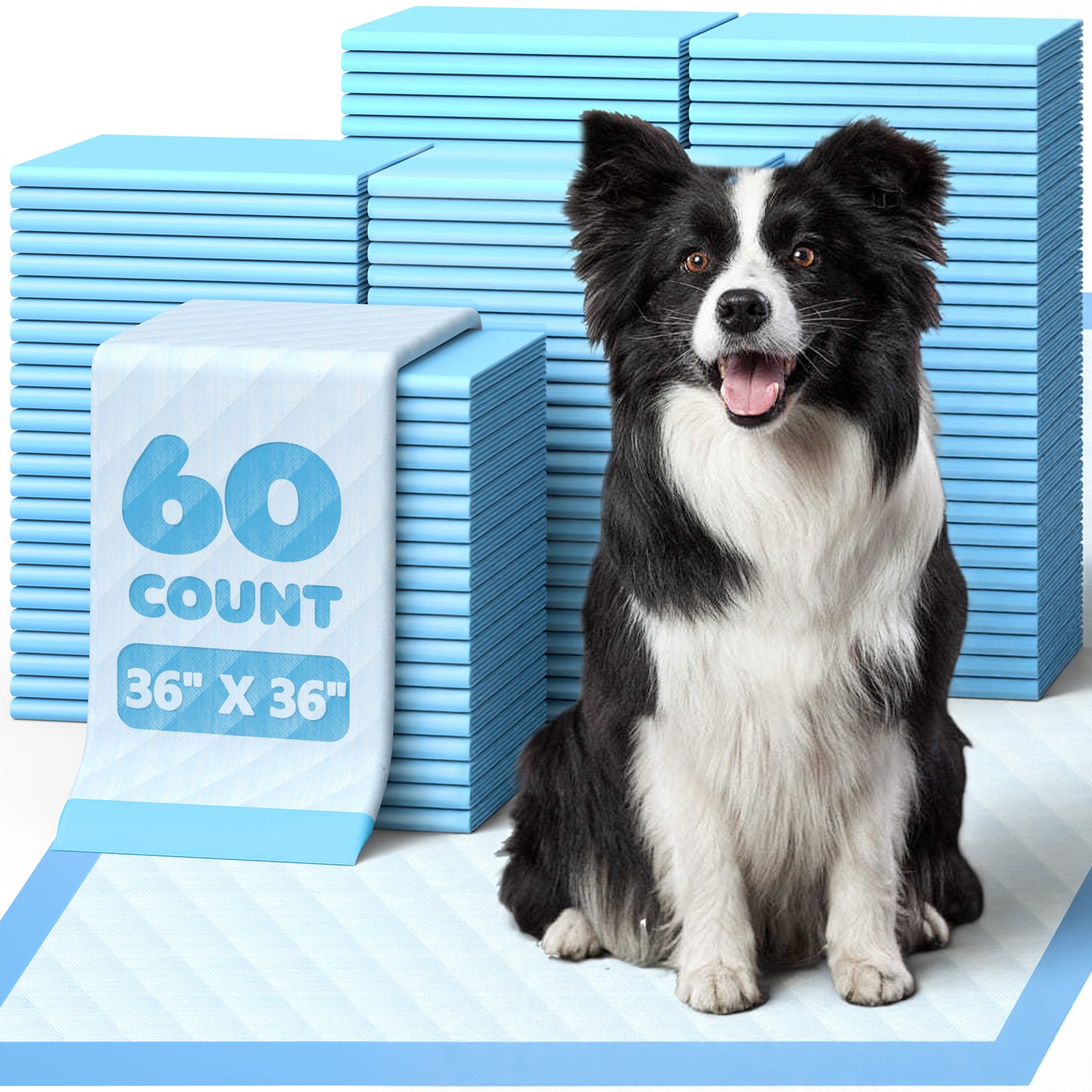 75-Pack XX-Large Puppy Pads - 38" x 28" Pee Pads for Dogs Potty Training with Leak-Proof Quick-Dry Design, 6-Layer Wee Wee Pads for Dogs